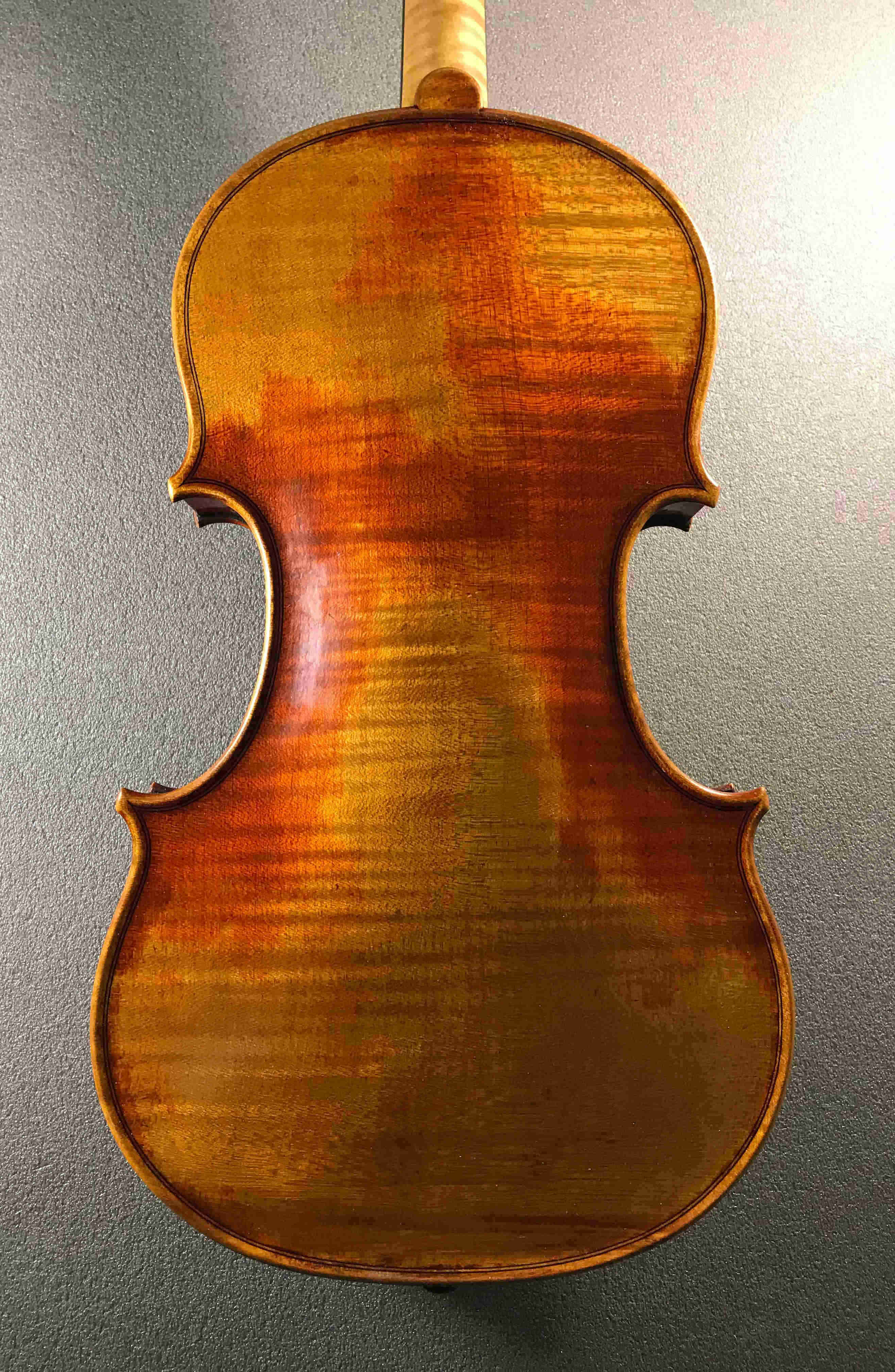 violin C.Bergonzi 1731