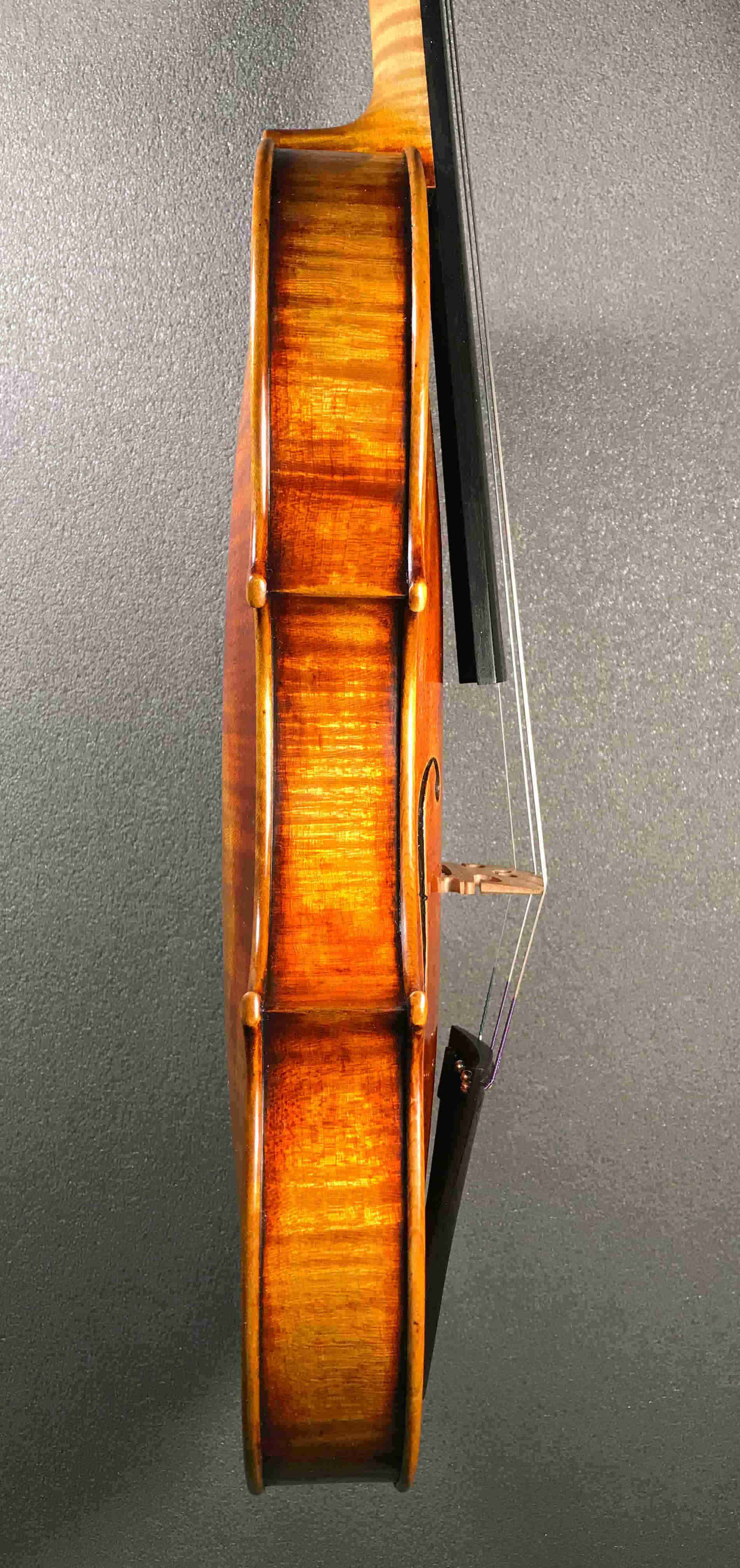 violin C.Bergonzi 1731