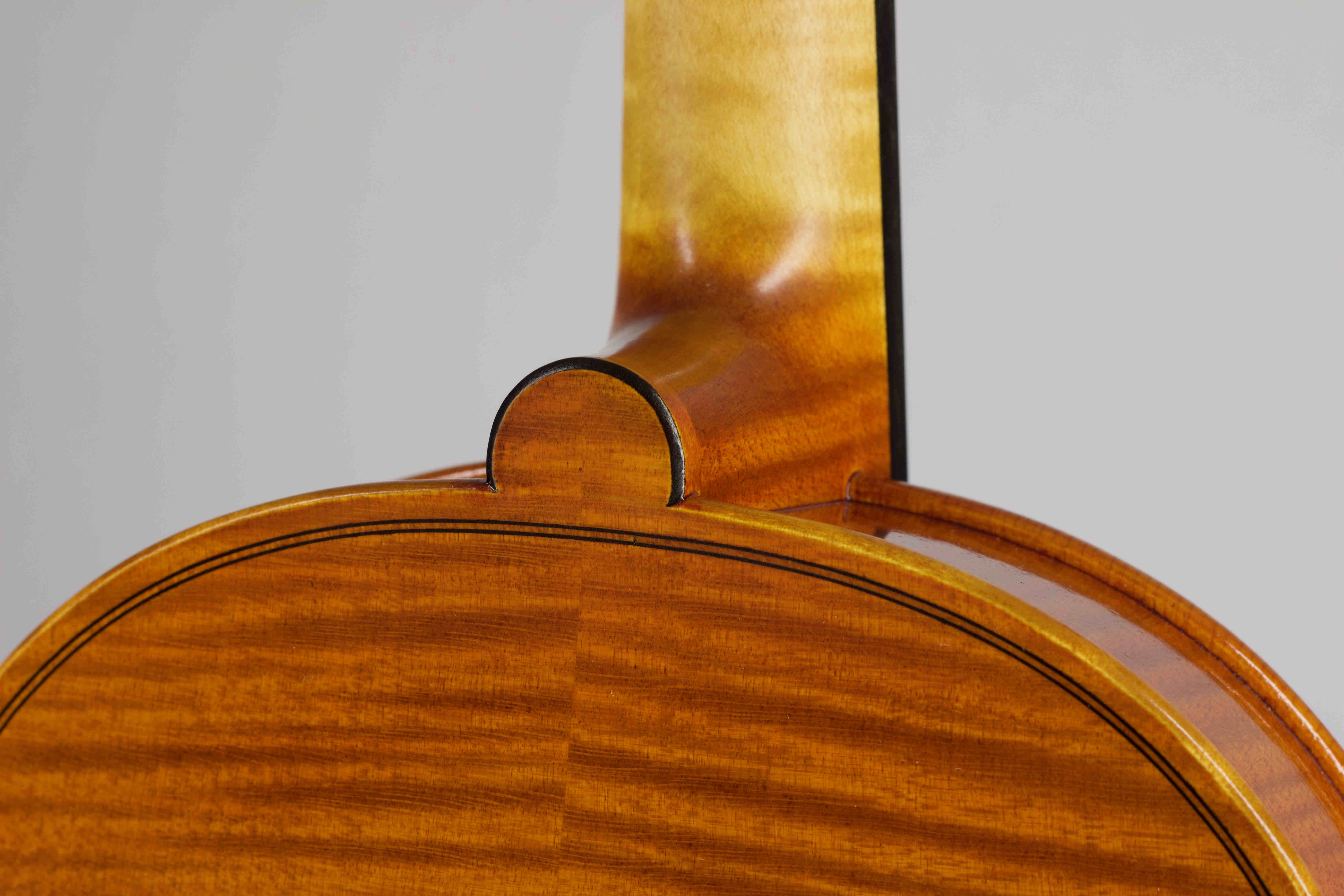 Housle Antonio Stradivari 'Mediceo' 1716