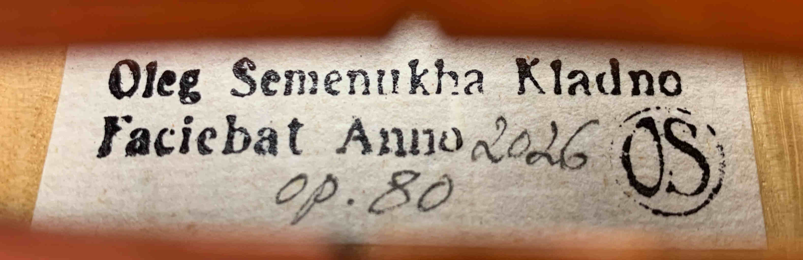 Housle Antonio Stradivari 'Mediceo' 1716