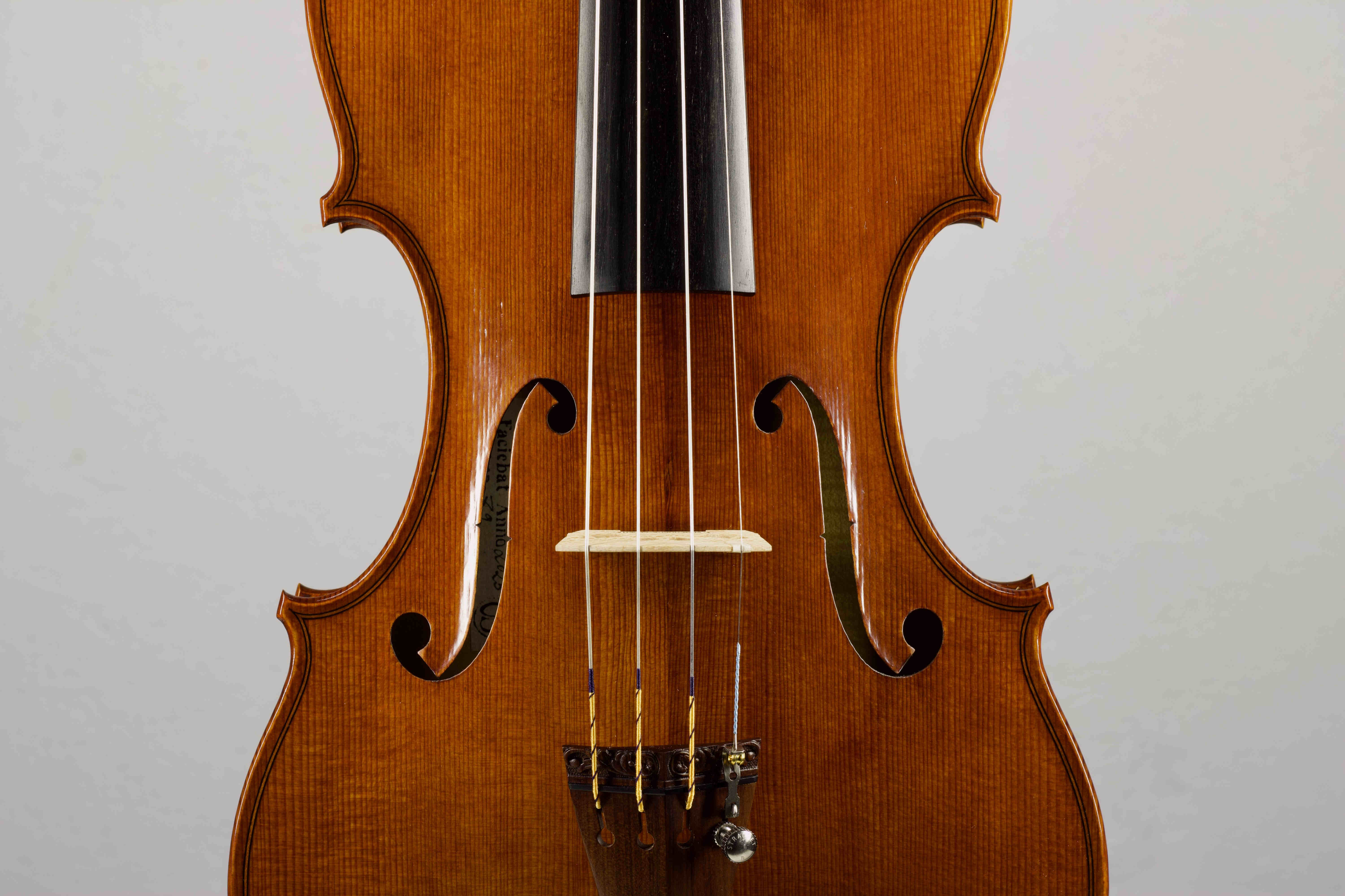 Housle Guarneri del Gesu 'Plowden' 1735