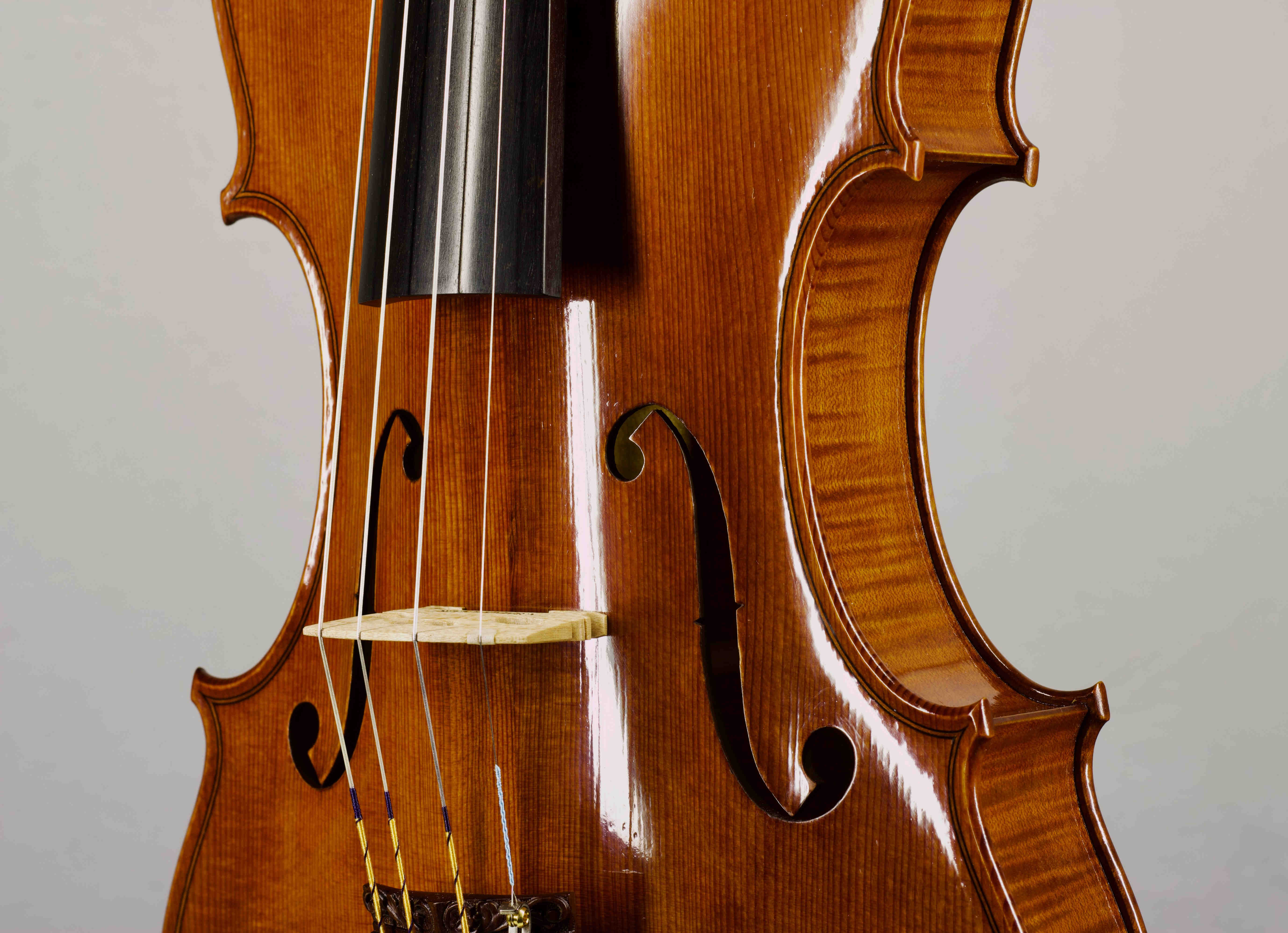 Housle Guarneri del Gesu 'Plowden' 1735