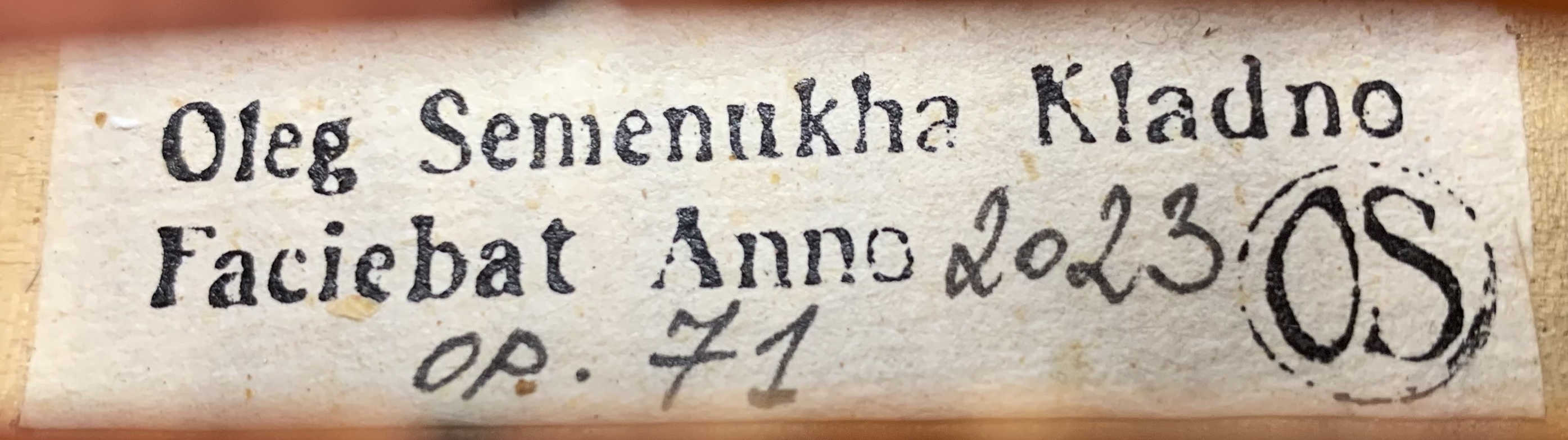 Housle A.Stradivari 'Titian' 1715