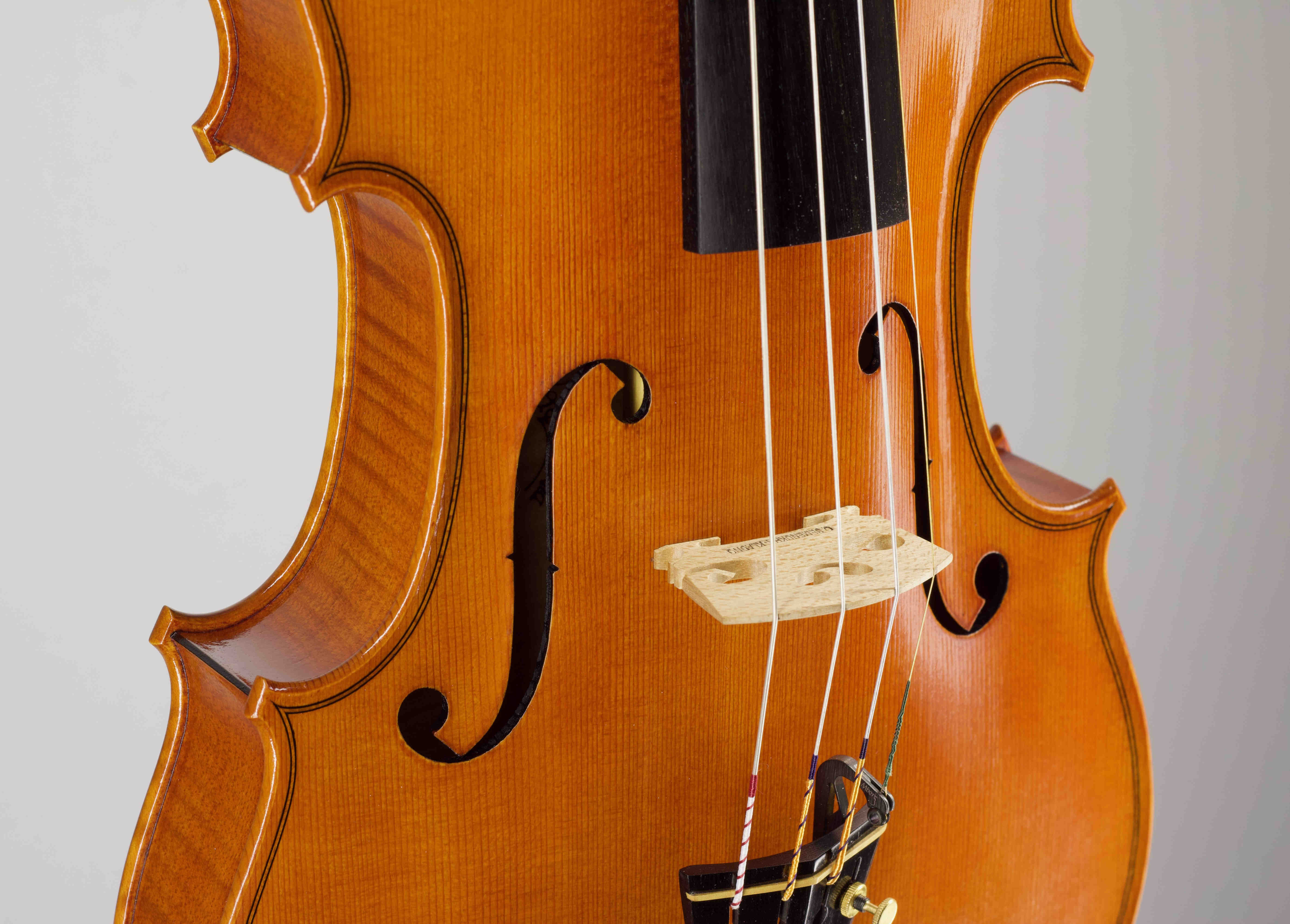 Housle Antonio Stradivari 'Mediceo' 1716