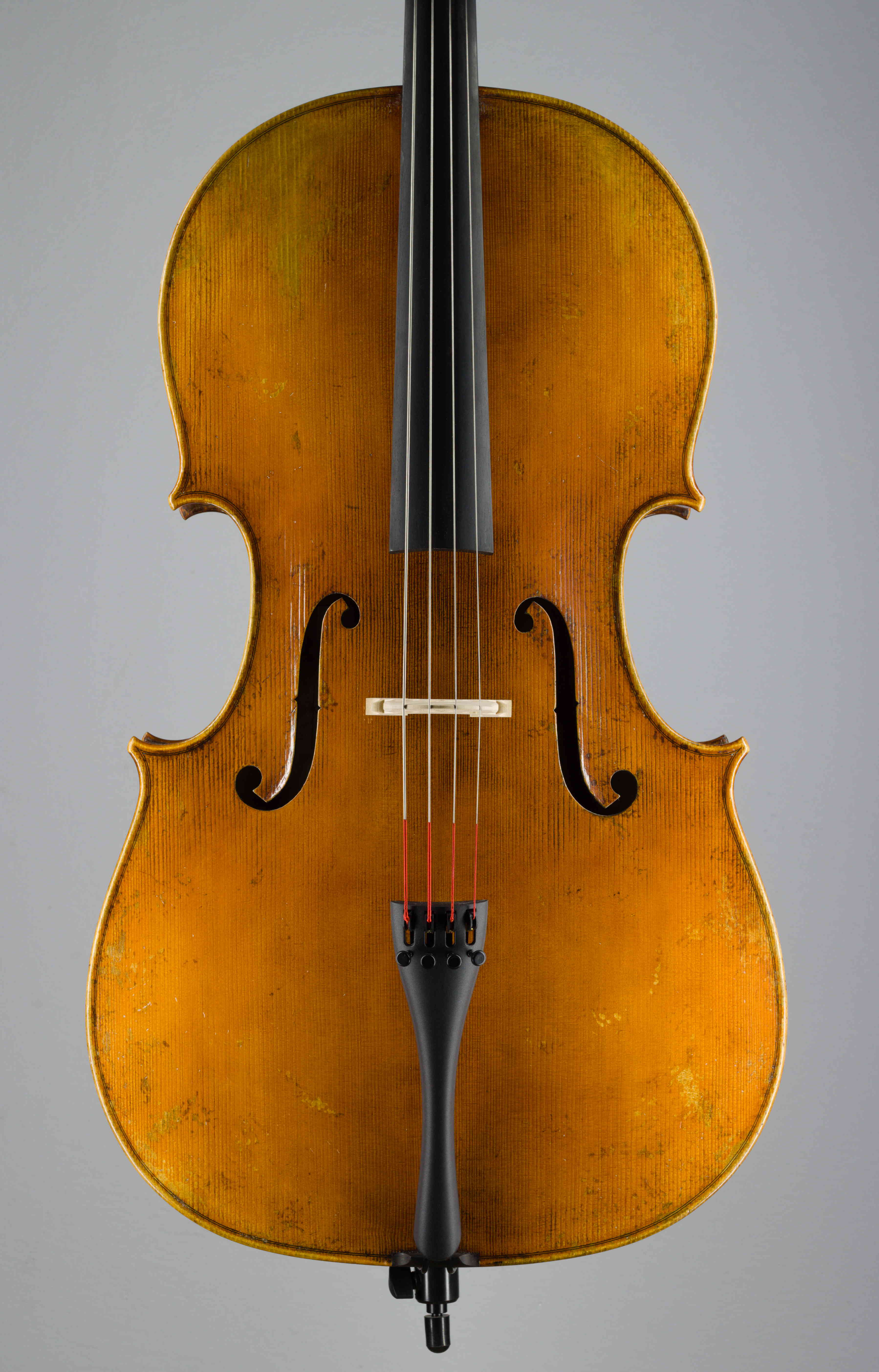 violončelo