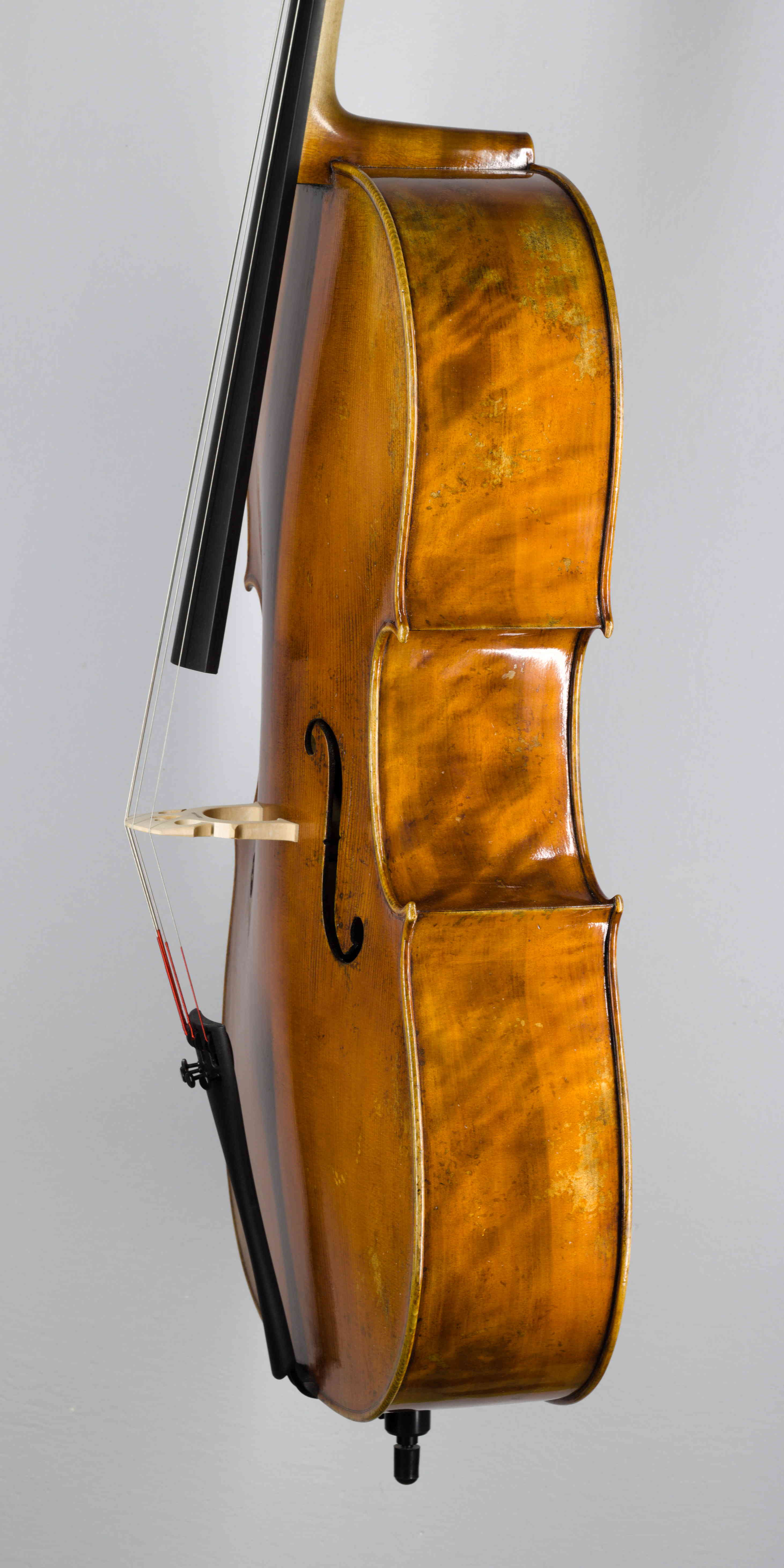 violončelo