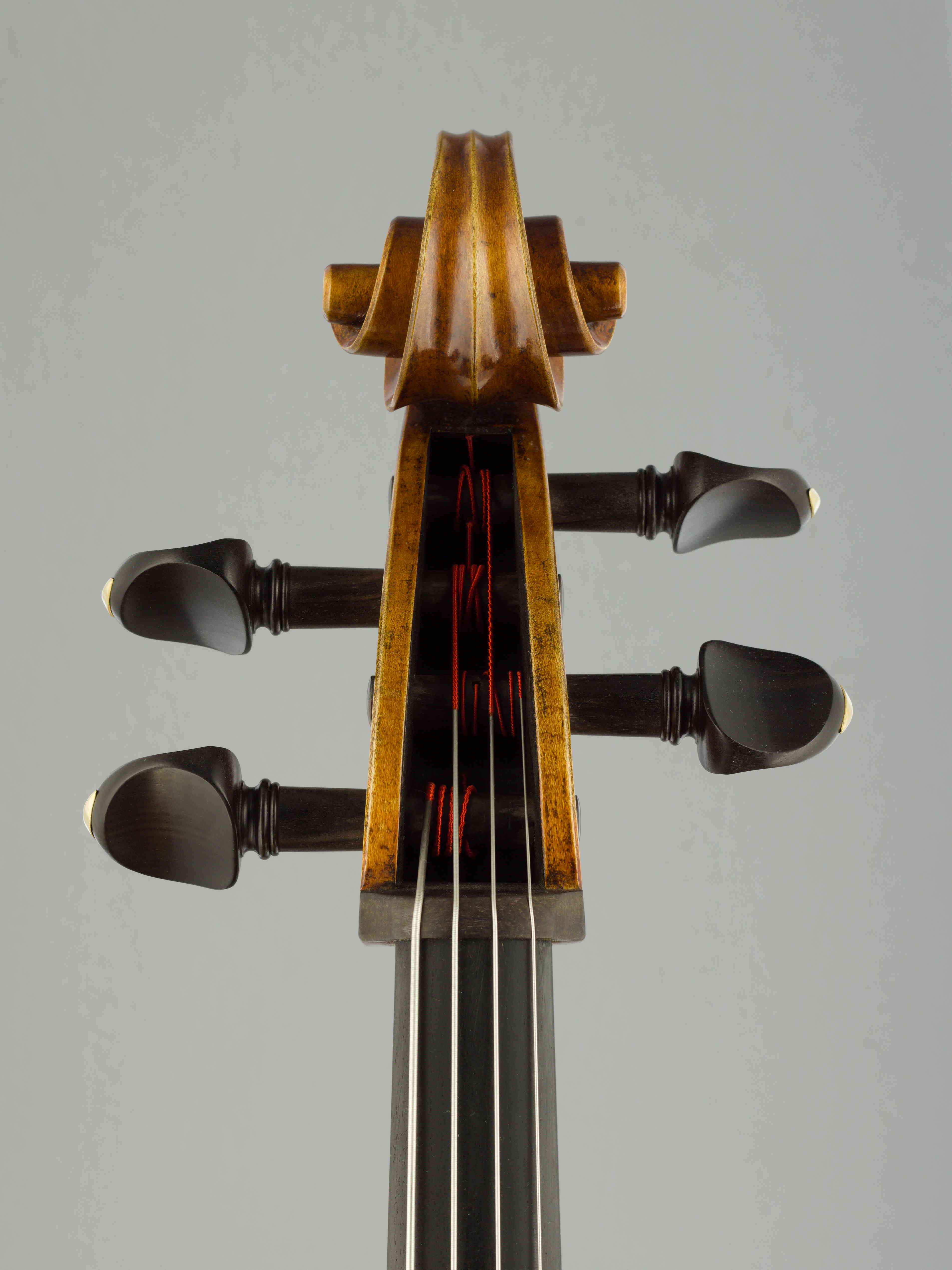 violončelo