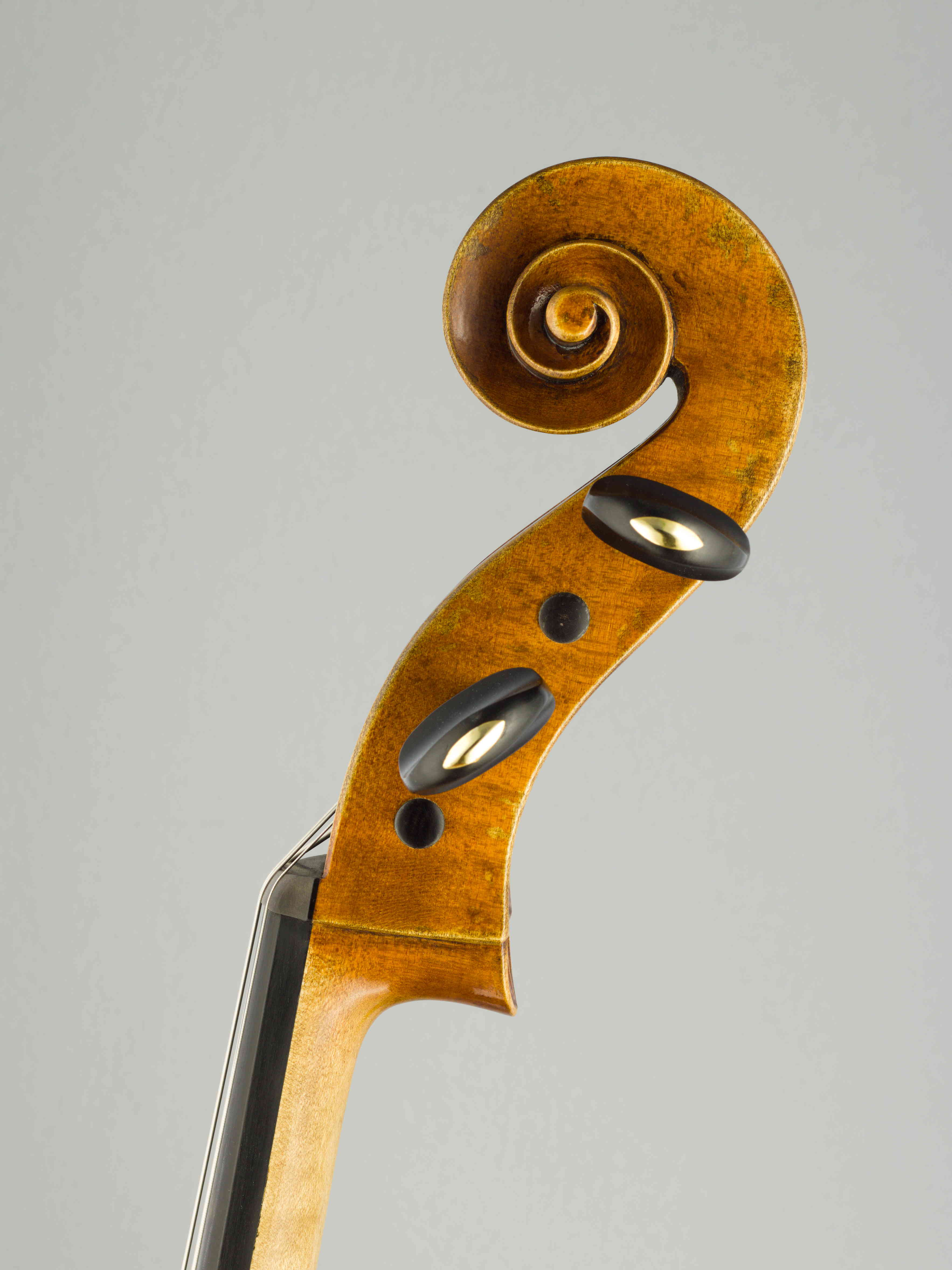 violončelo