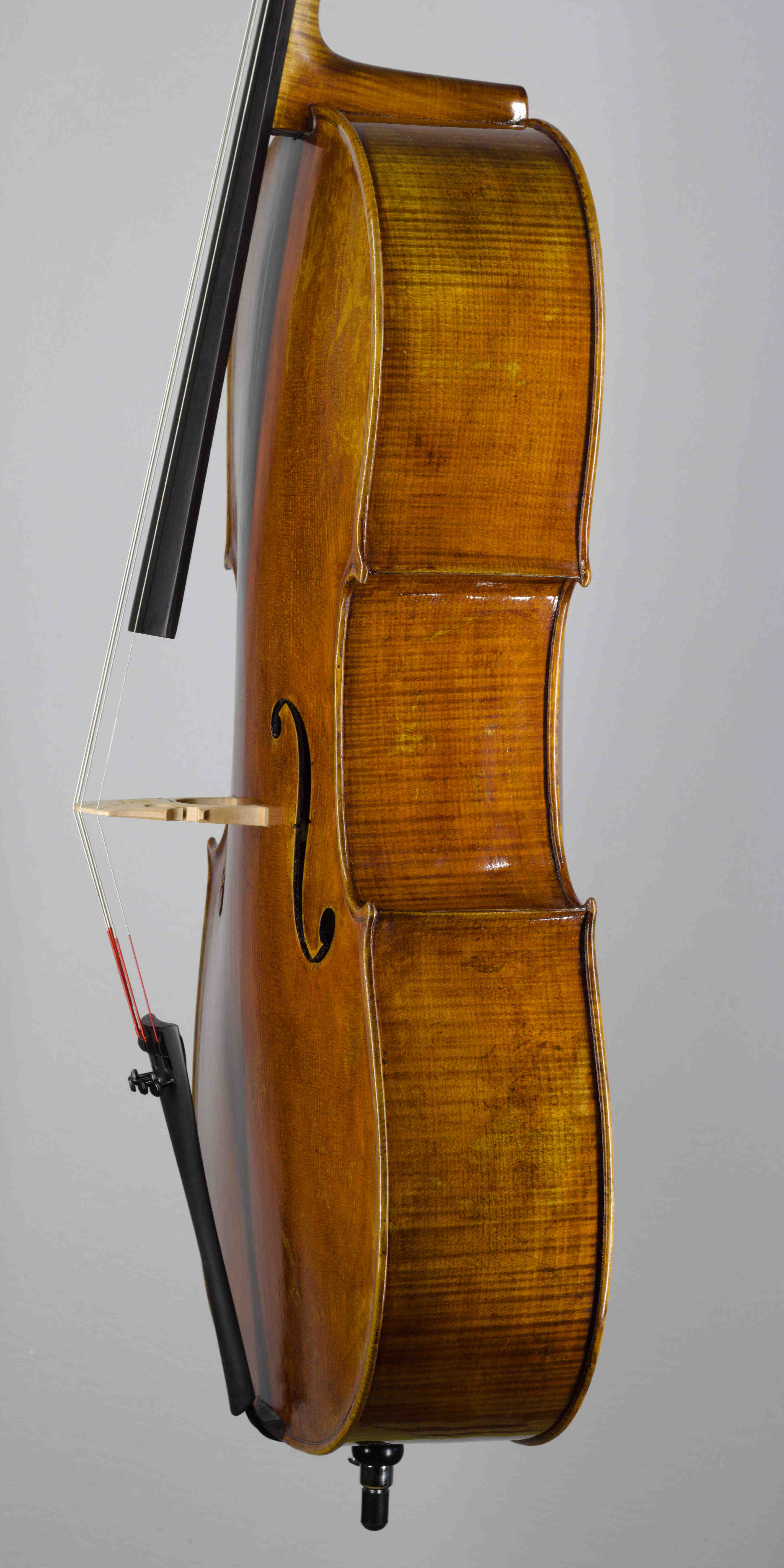 violončelo