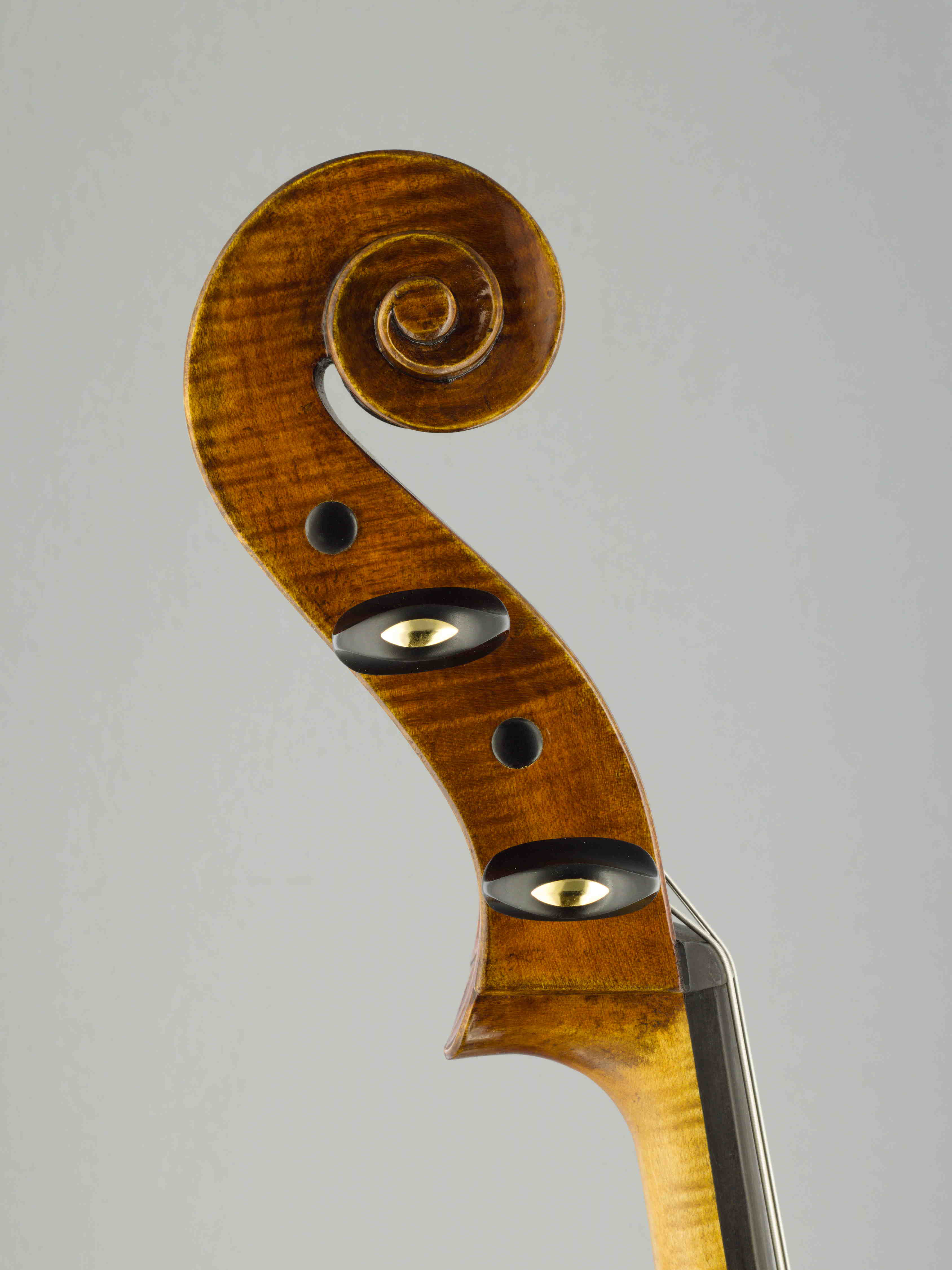 violončelo