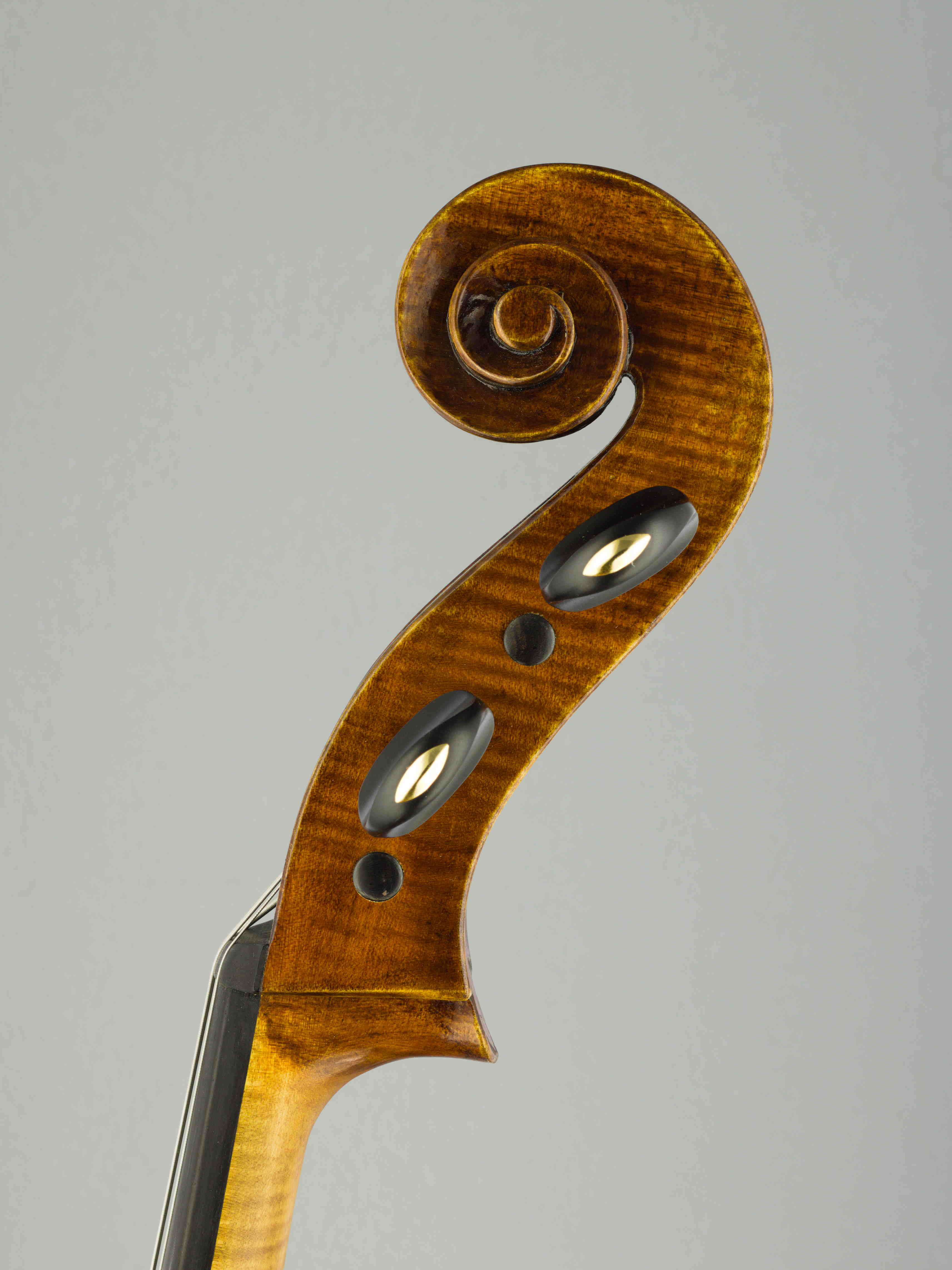 violončelo