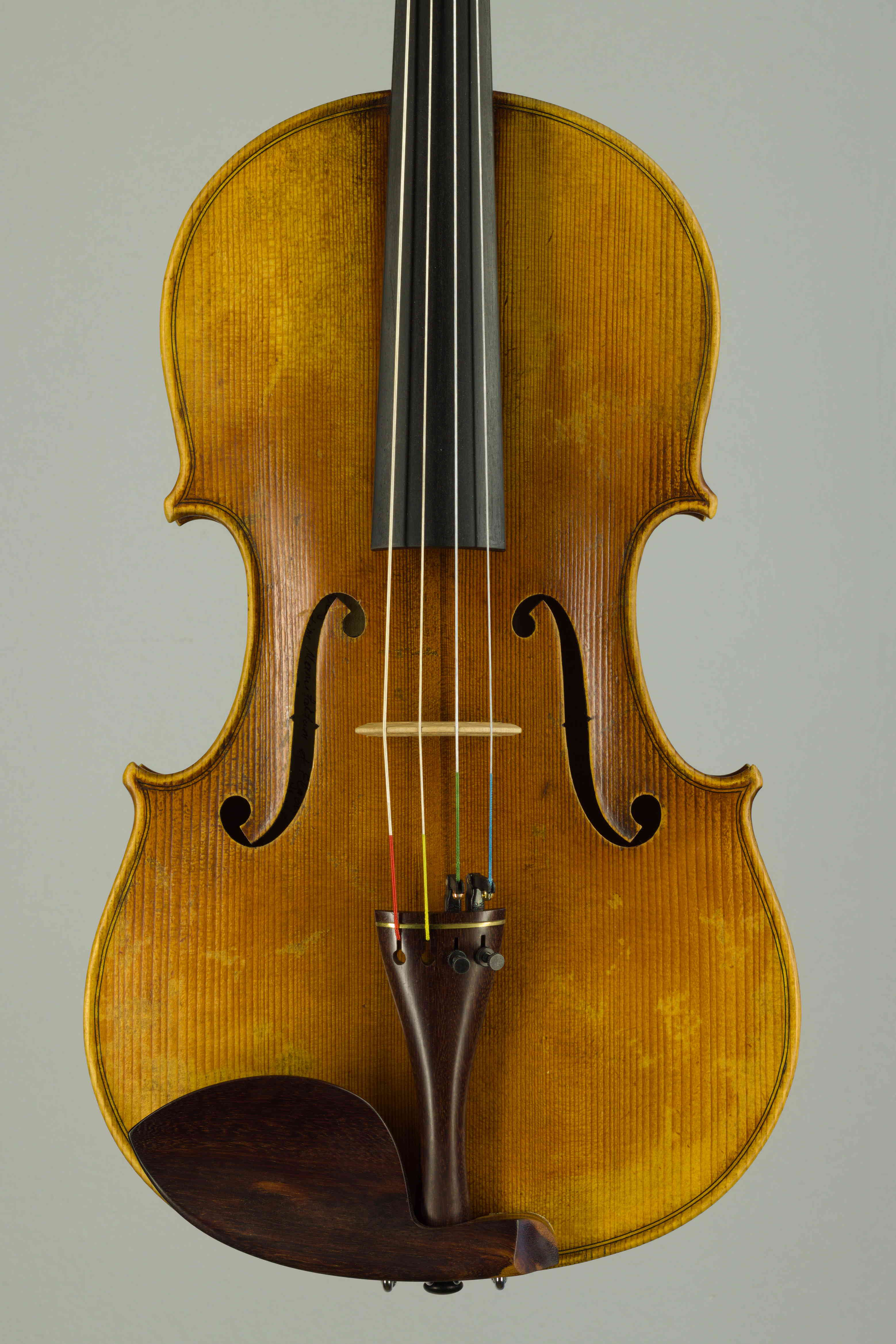 viola
