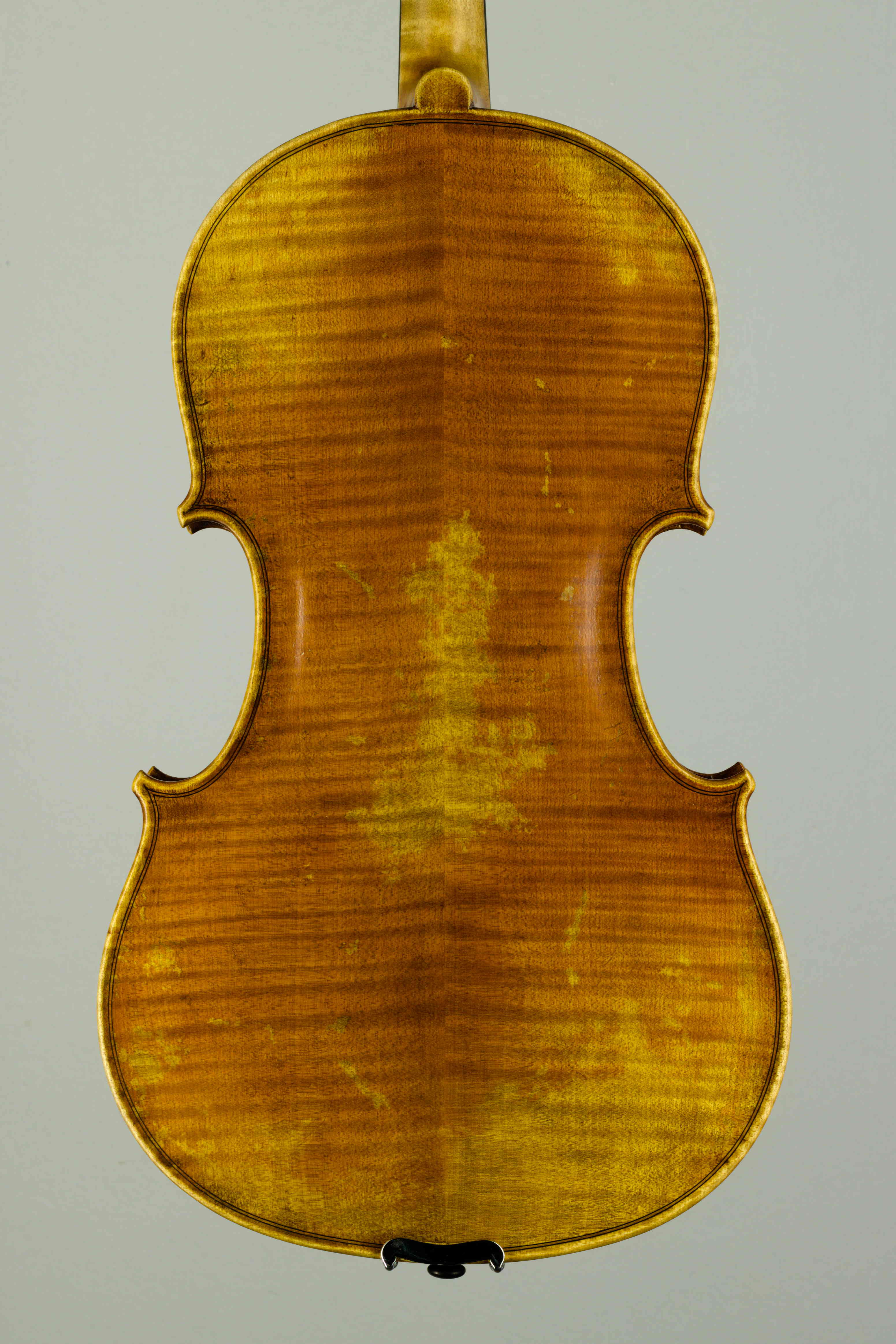 viola