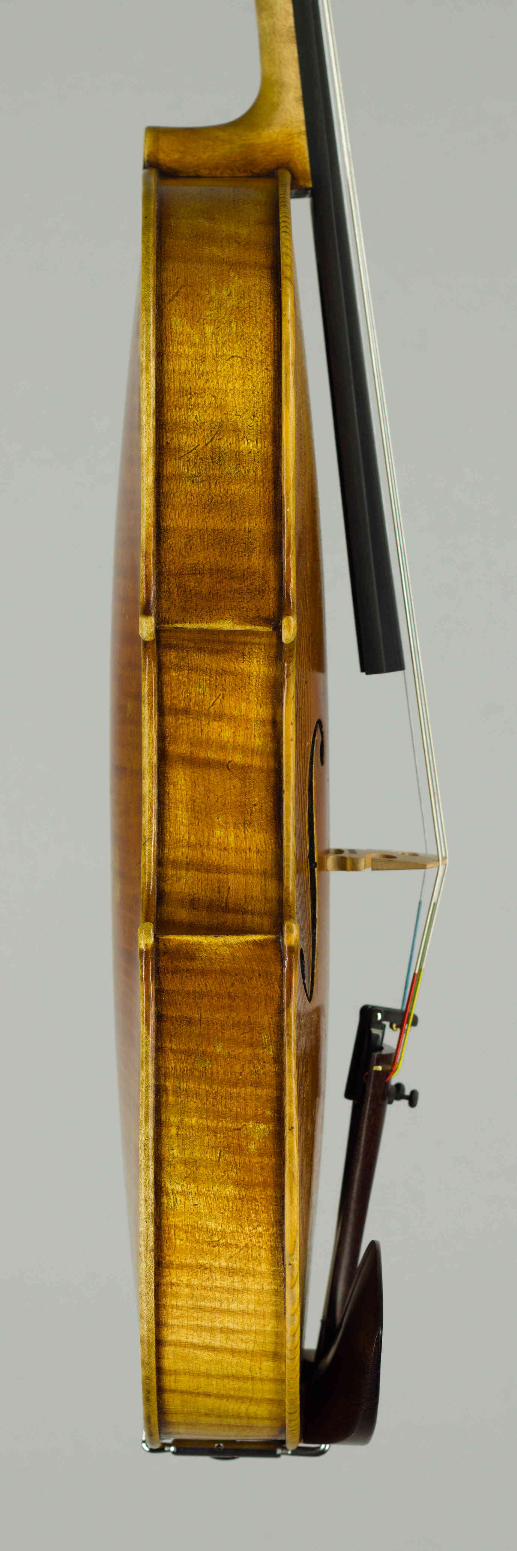 viola