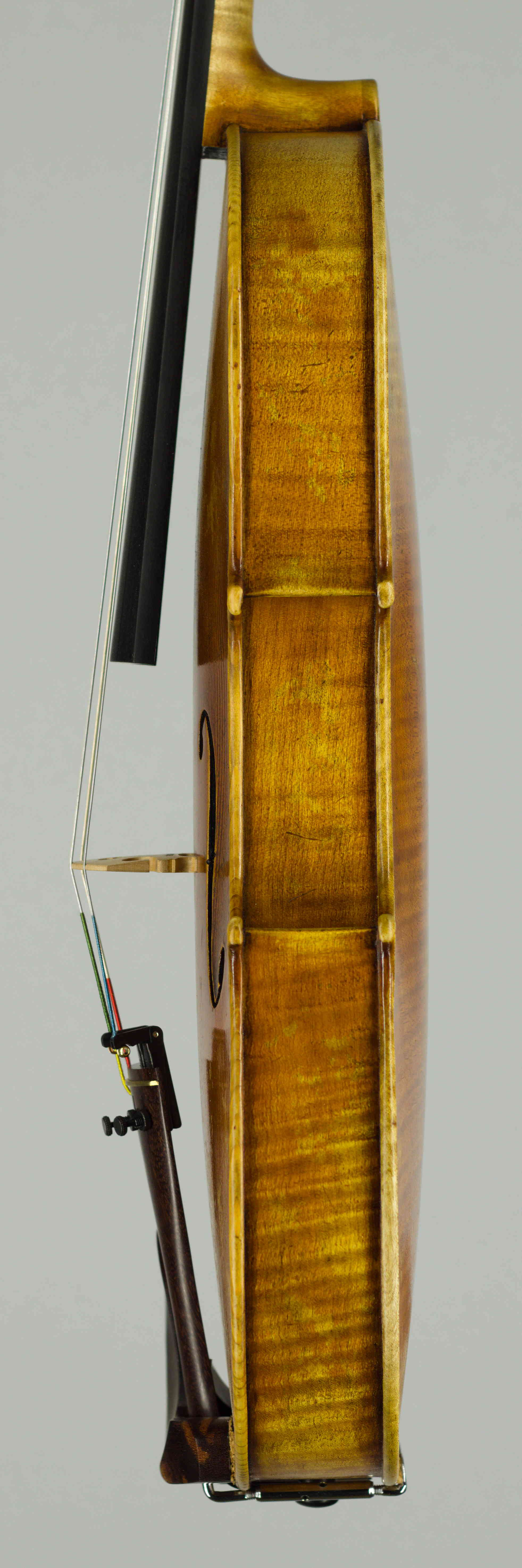 viola