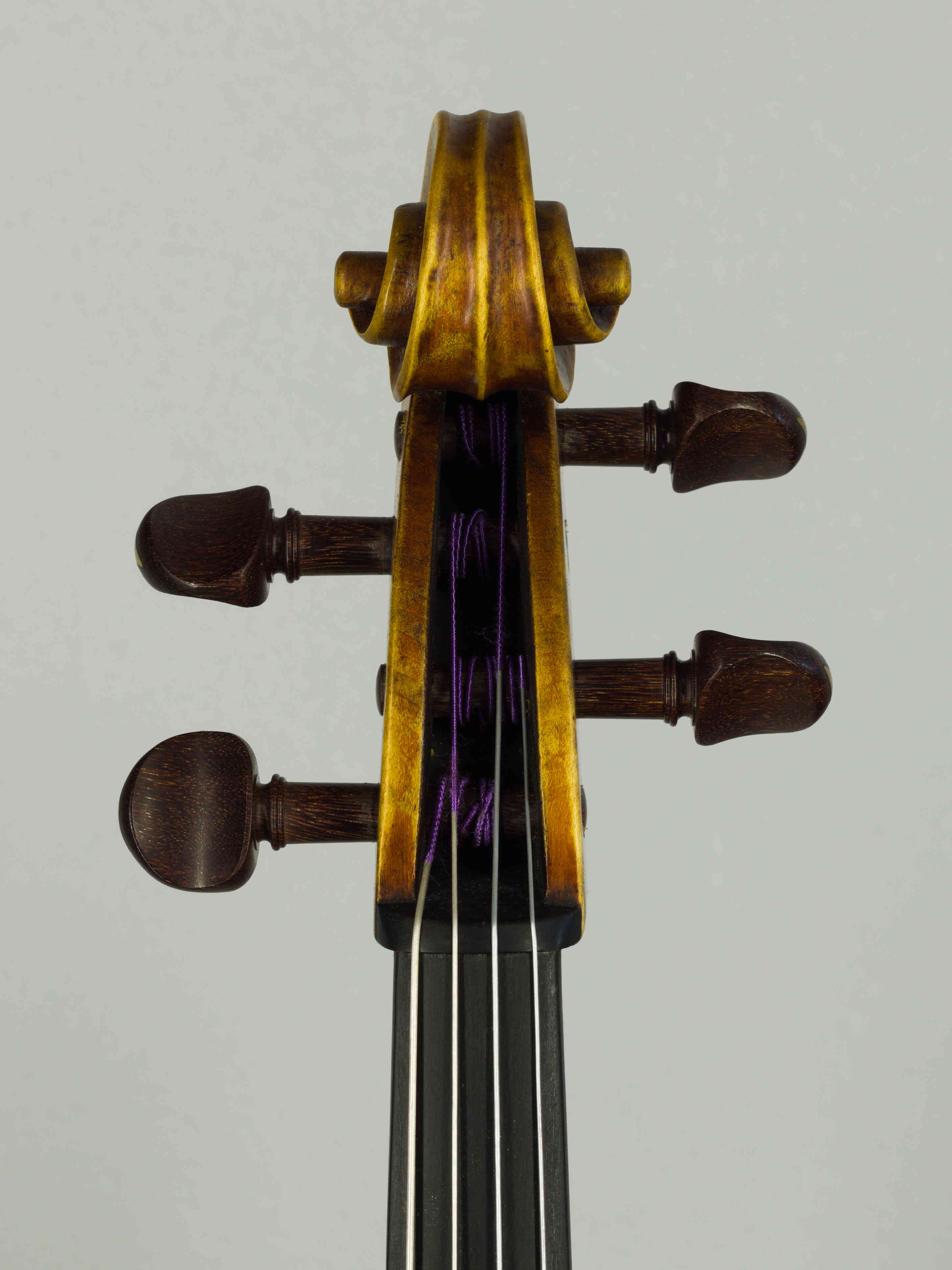 viola