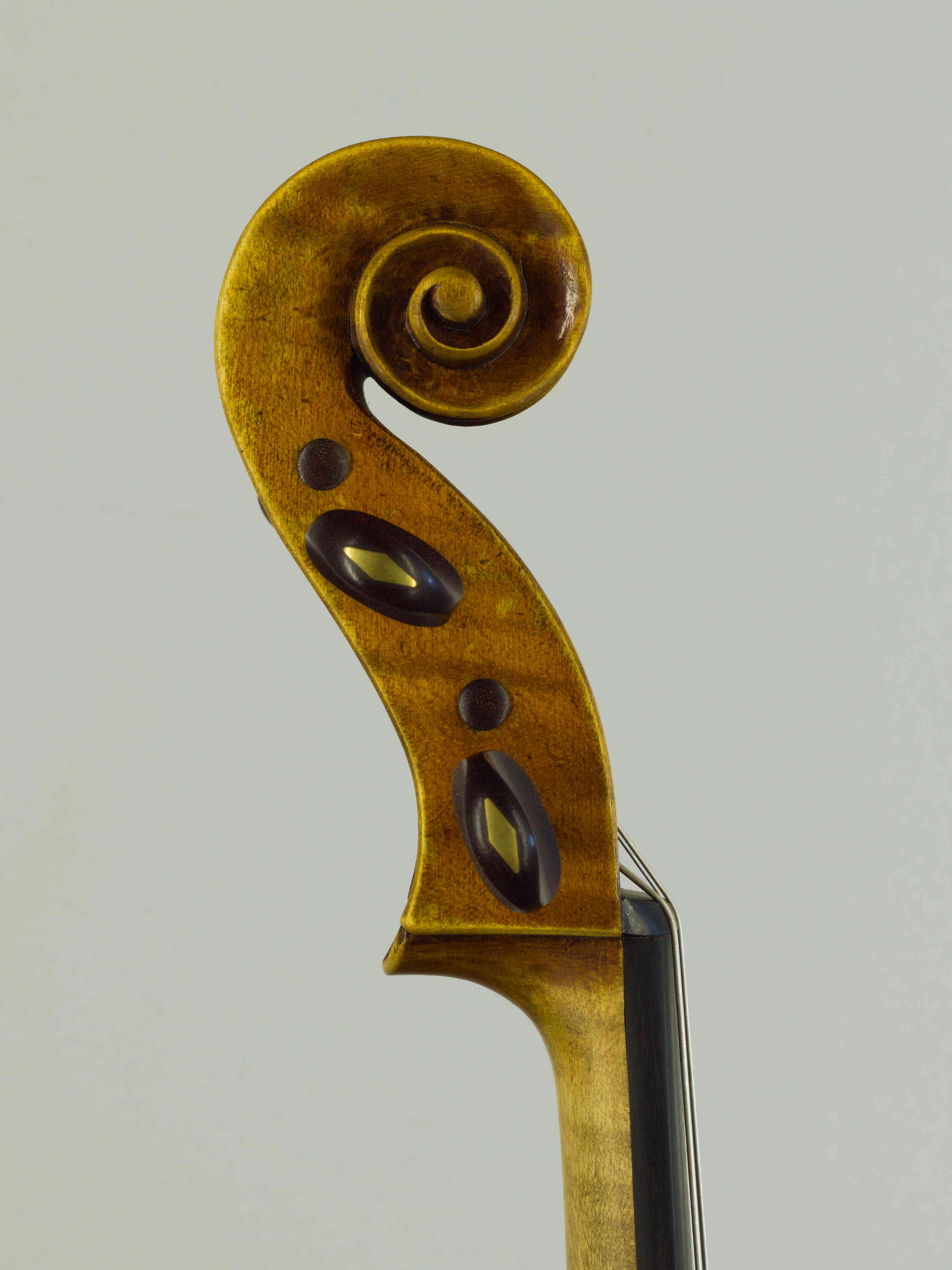 viola