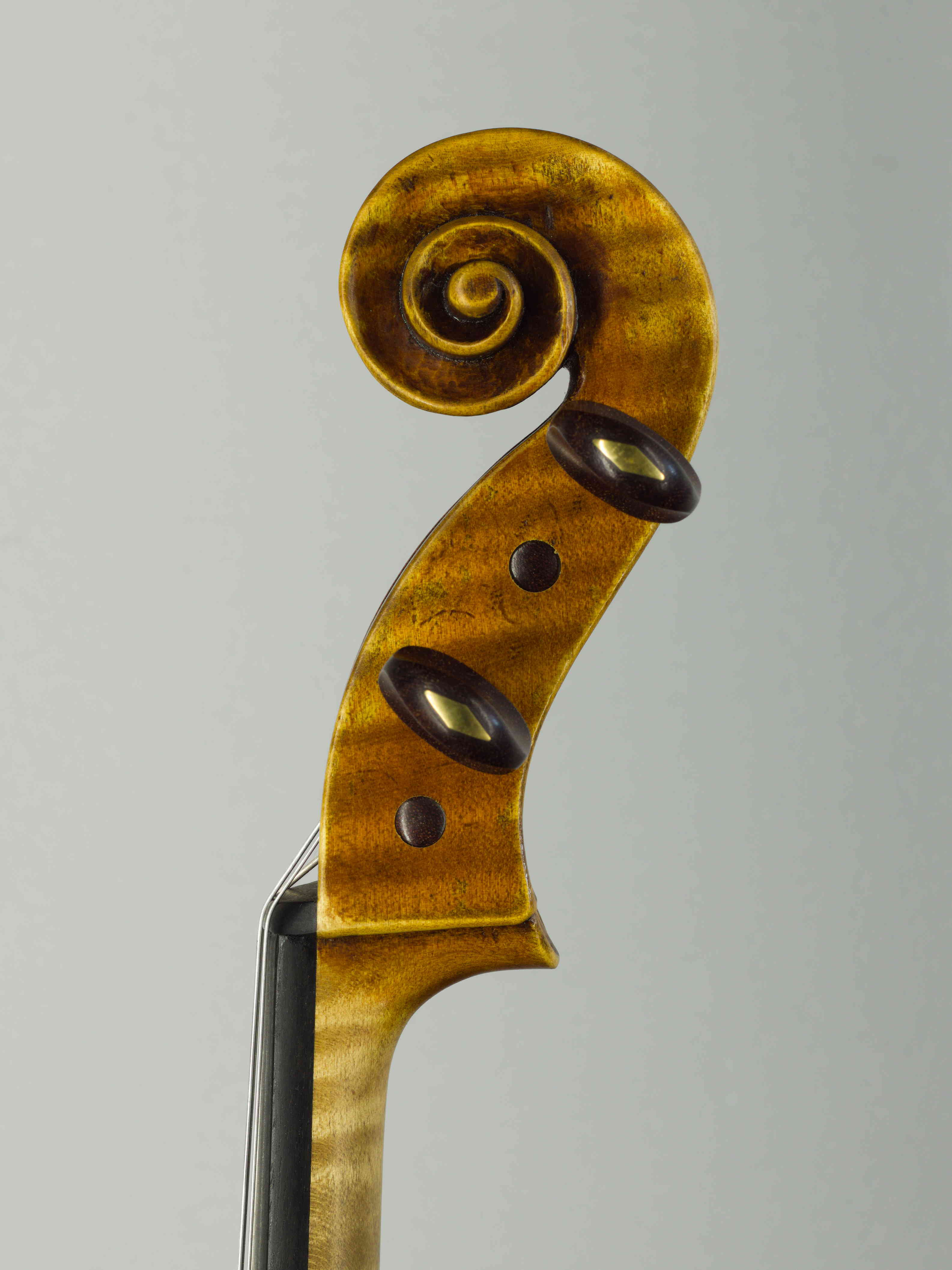 viola