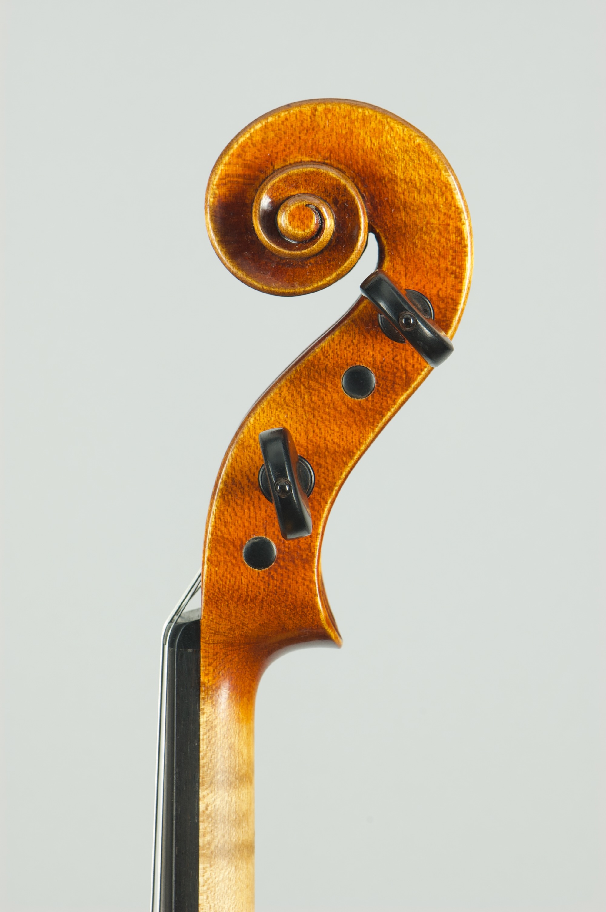 Viola model Nicolo Amati